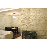 Reciclar Placa-piedra